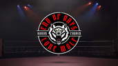 Future of the WWE