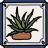The aloe