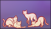 Found 460 cats