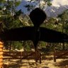 Return of the crow