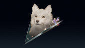 Closest Companion
