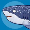 Whale Shark Hunter