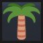 Palm Tree