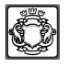 Symbol 27