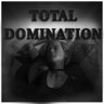  Total Domination