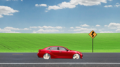 Automobile Driver