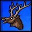 Forest Shepherd