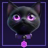 Black Cat