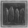 The Ashwalkers
