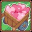 Loads of Affection