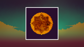The Eighth Star