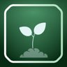 Sapling