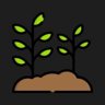 Planted 100 Plants