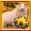 Sheep Complete!