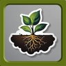 Small Seeds Big Deeds