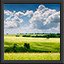 Level 4