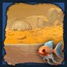 Martian Rookie