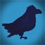 Catch the Raven