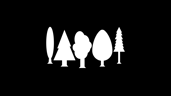 Tree Expert
