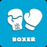 Boxing Boss