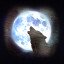 Ghost of Brasov