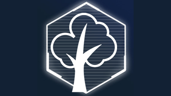 The Forests