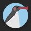 Noot Noot!
