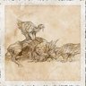 Scavenger-Hard-Shell-Cooperation