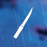 The Vengeful Blade