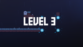 Level 3