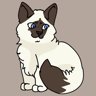 Meow