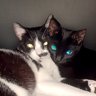 Found Mortícia & Ophelia