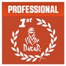 Professional Winner