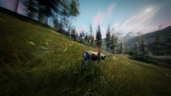 Long Distance Hunter