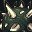 Spiky