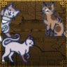 Found 75 Cats!