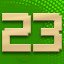 Level 23