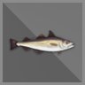 100 kg Pollock