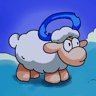 Hooolyy sheep