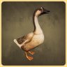 Goose