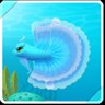 Aquatic Duelist