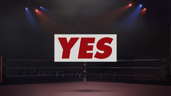 YES! YES! YES!