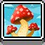 Mushrooms