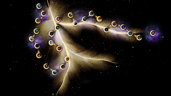 Long, Strange Trip