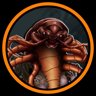 Centipedes