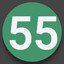 55 Points