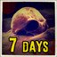 A Week In Hell