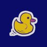 WILD DUCK CHASE