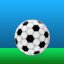 Soccer Victory