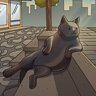 Found Tombili Cat